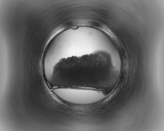 X0000086740806200704271649