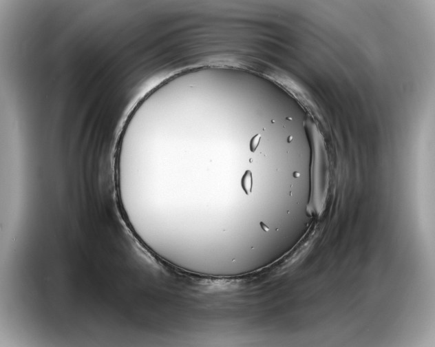 X0000086740808200704271649