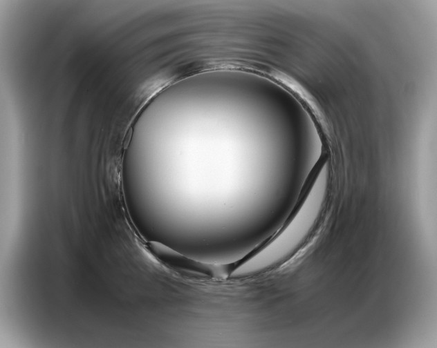 X0000086740809200704271649