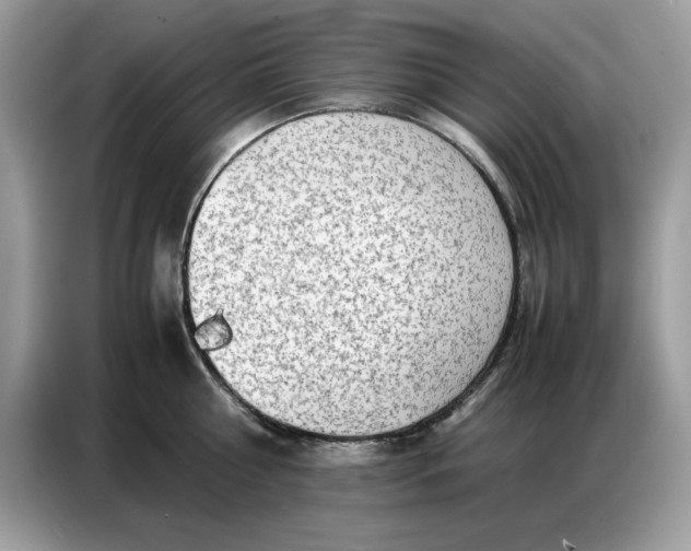 X0000086740810200704271649