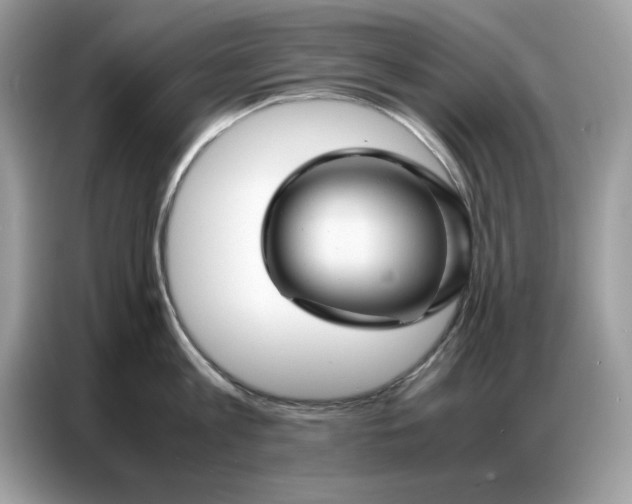 X0000086740813200704271649