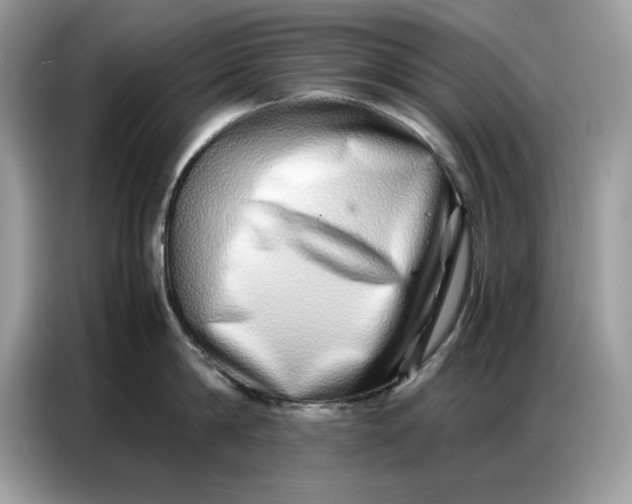 X0000086740814200704271649