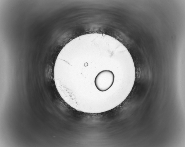 X0000086740820200704271648