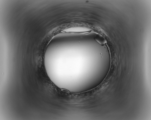 X0000086740821200704271648