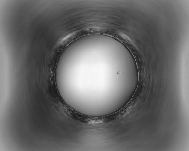 X0000086740822200704271648