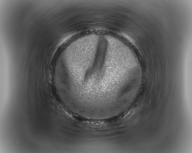 X0000086740823200704271648