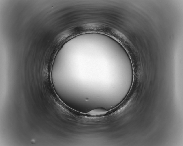 X0000086740825200704271648