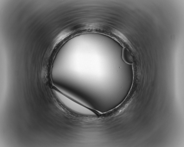 X0000086740826200704271648