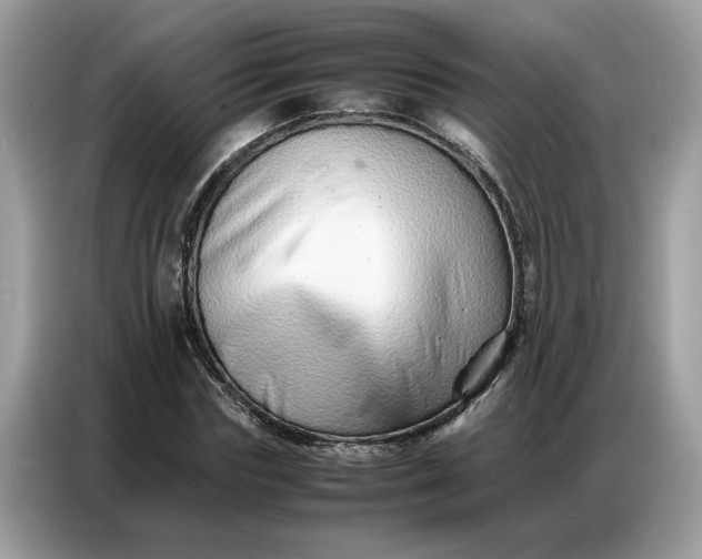 X0000086740827200704271648