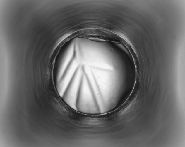 X0000086740829200704271648