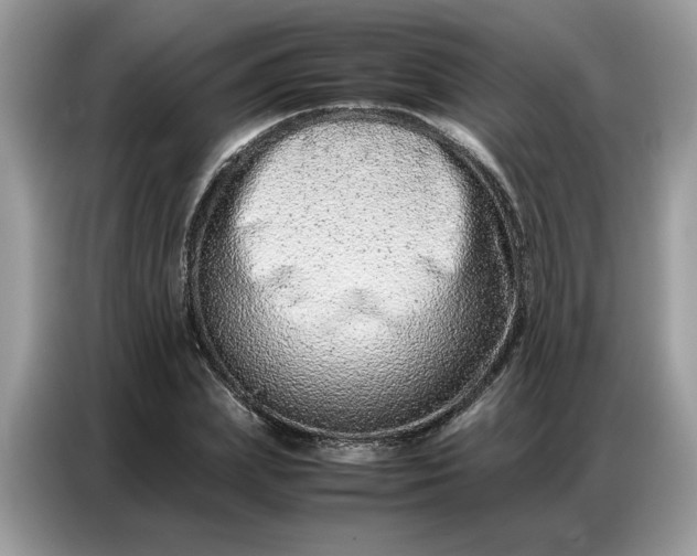 X0000086740831200704271649