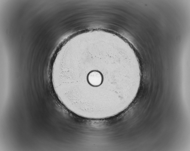 X0000086740832200704271649