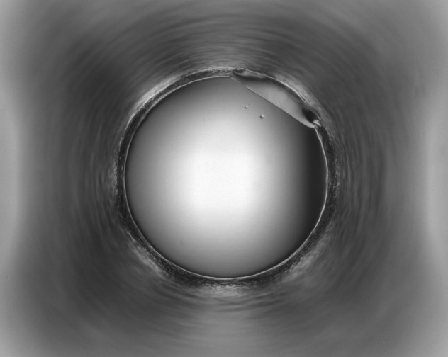 X0000086740834200704271649