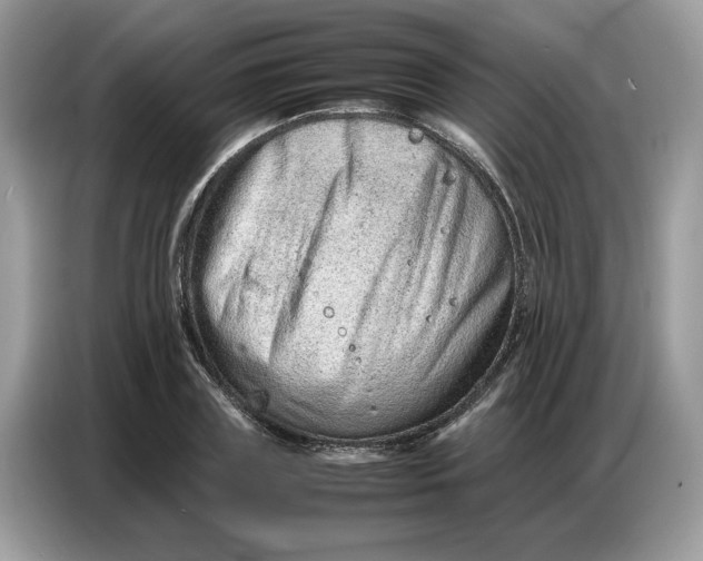 X0000086740835200704271649