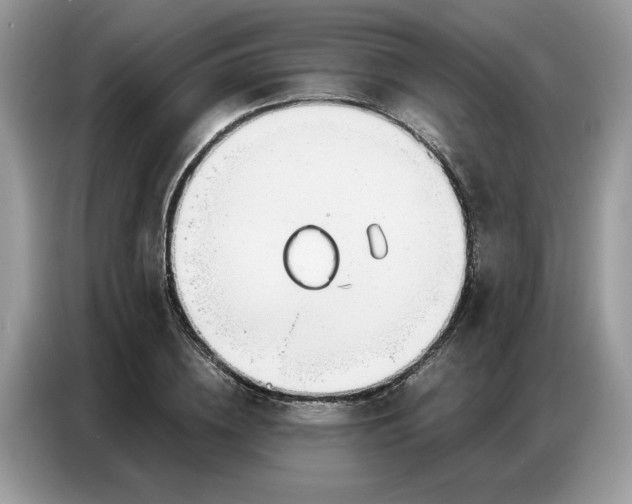 X0000086740836200704271649