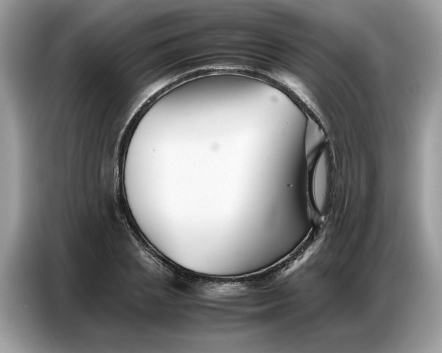 X0000086740837200704271649