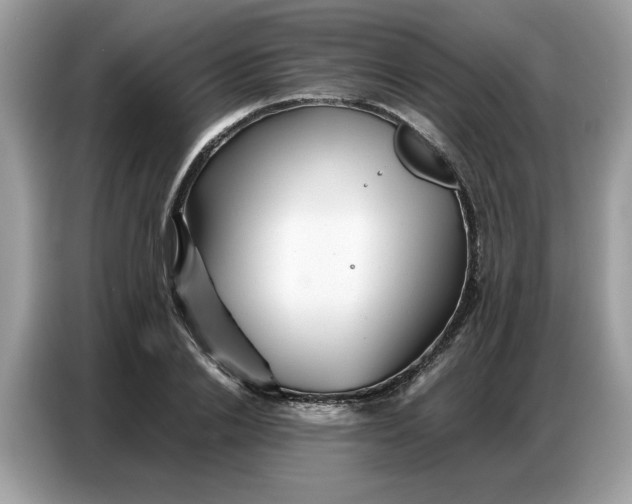 X0000086740838200704271649