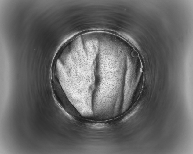 X0000086740839200704271649