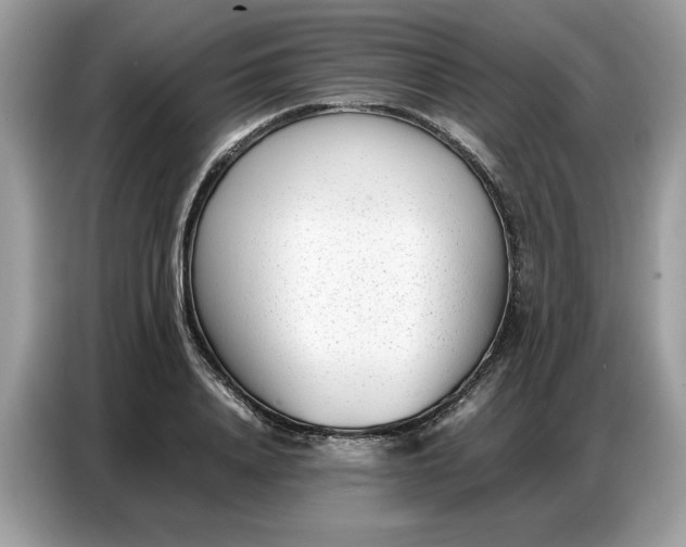 X0000086740840200704271649