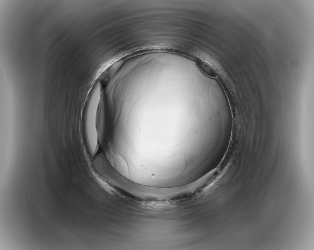 X0000086740842200704271649