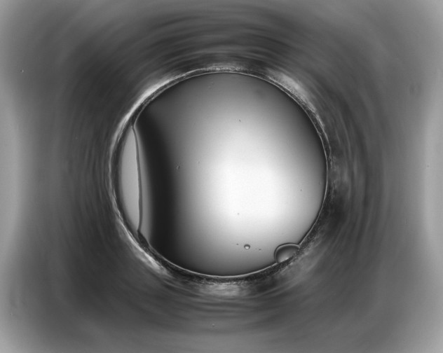 X0000086740843200704271649