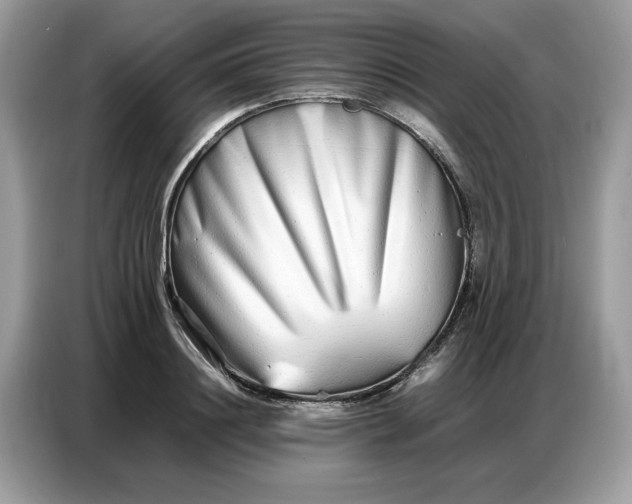 X0000086740844200704271649