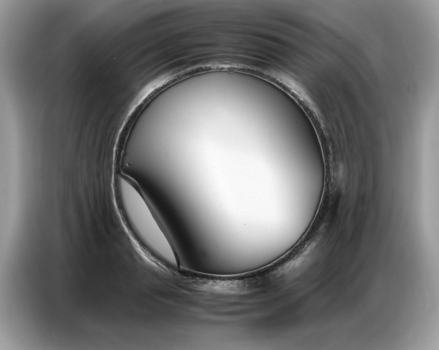 X0000086740845200704271649