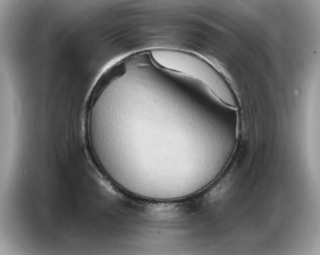 X0000086740846200704271649