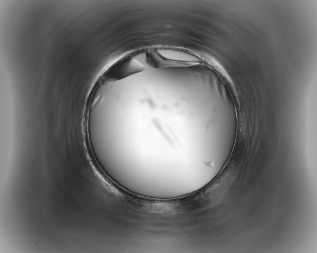 X0000086740847200704271649