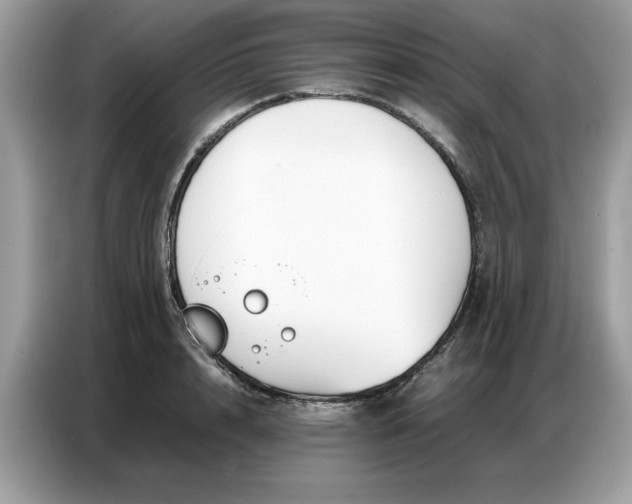 X0000086740848200704271649