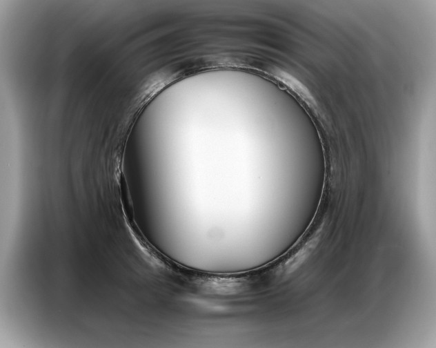 X0000086740849200704271649