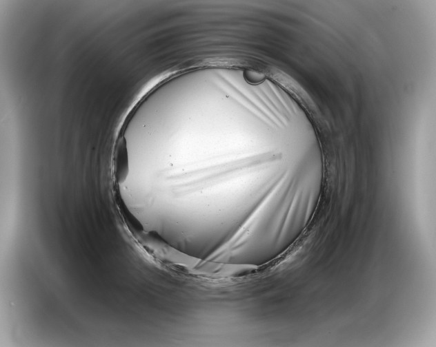 X0000086740852200704271649