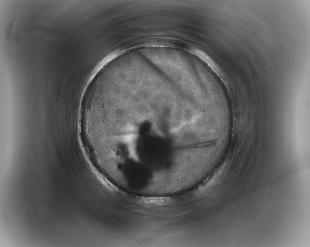 X0000086740853200704271649