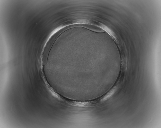 X0000086740854200704271649