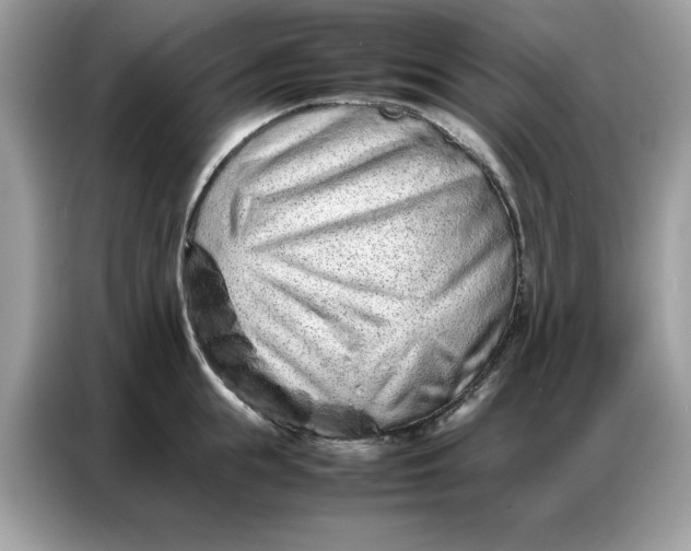 X0000086740855200704271649