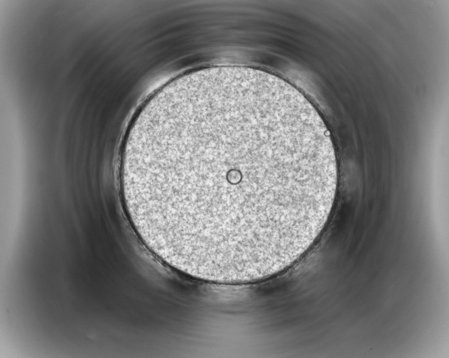 X0000086740856200704271649