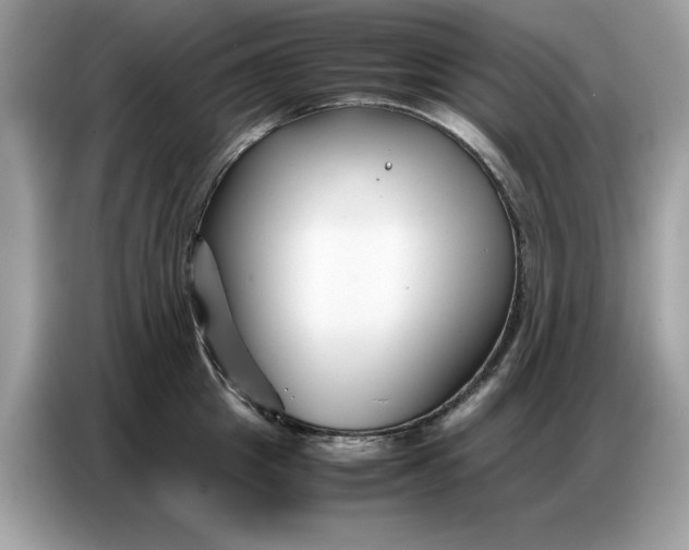 X0000086740857200704271649