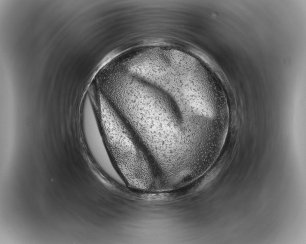 X0000086740858200704271649