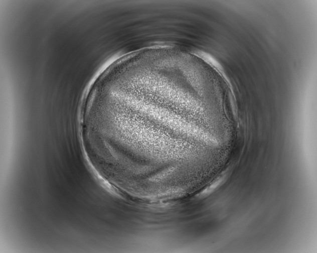 X0000086740859200704271649