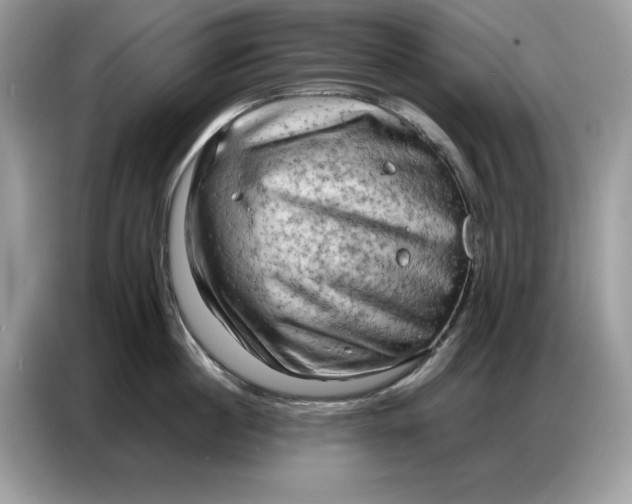 X0000086740860200704271649