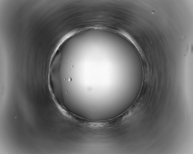 X0000086740861200704271649