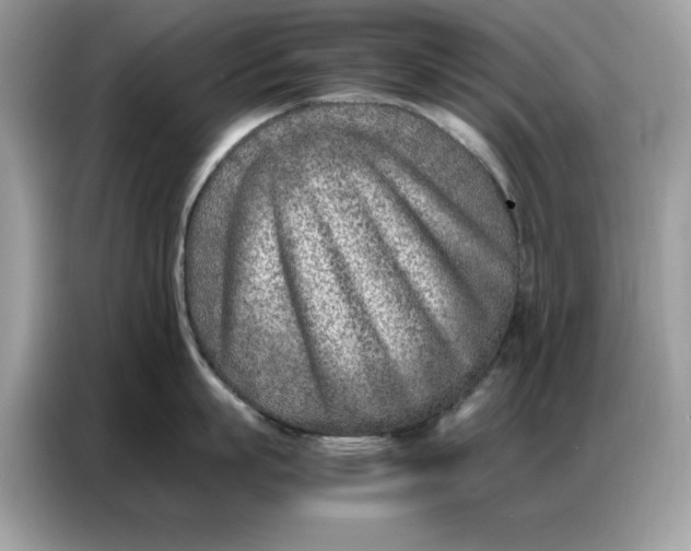 X0000086740863200704271649