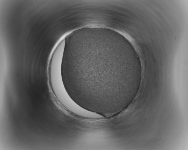 X0000086740864200704271649