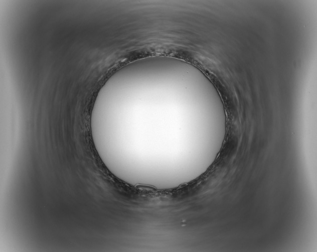 X0000086740865200704271648