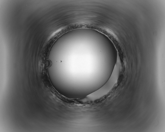 X0000086740872200704271648