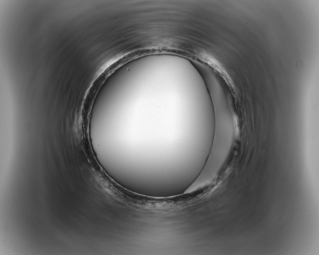 X0000086740876200704271648