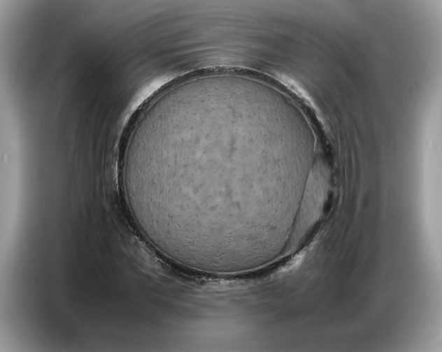 X0000086740877200704271648