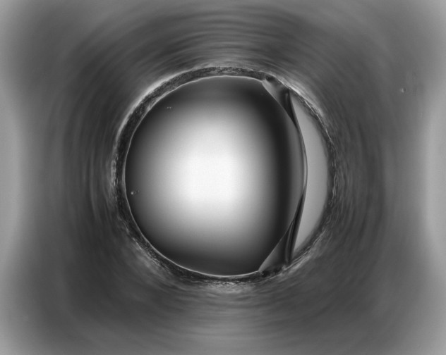 X0000086740880200704271648