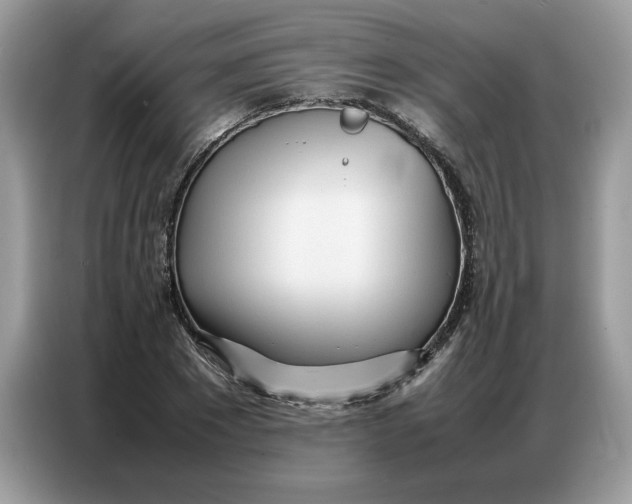 X0000086740881200704271648