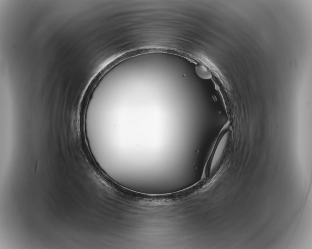 X0000086740884200704271648